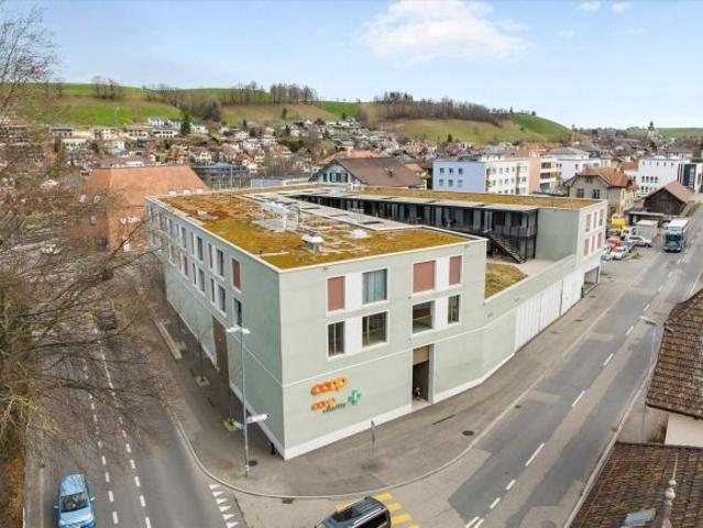 Apartment kaufen in Sembrancher, Wallis