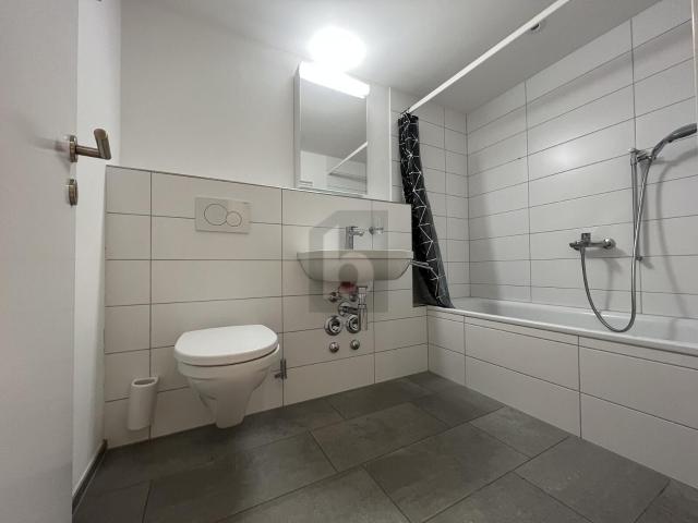 Apartment kaufen in Mandach, Aargau