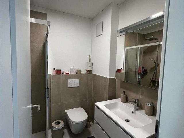 Apartment kaufen in Massagno, Tessin