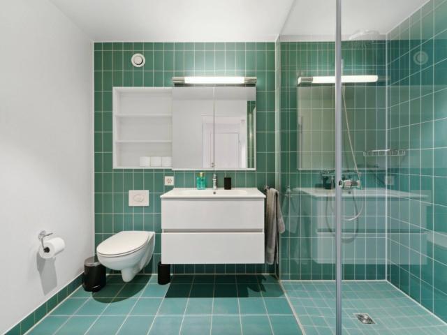 Apartment mieten in Münchenstein, Bezirk Arlesheim