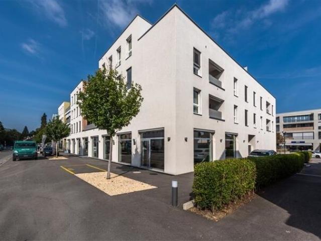 Apartment kaufen in Mesocco, Graubünden