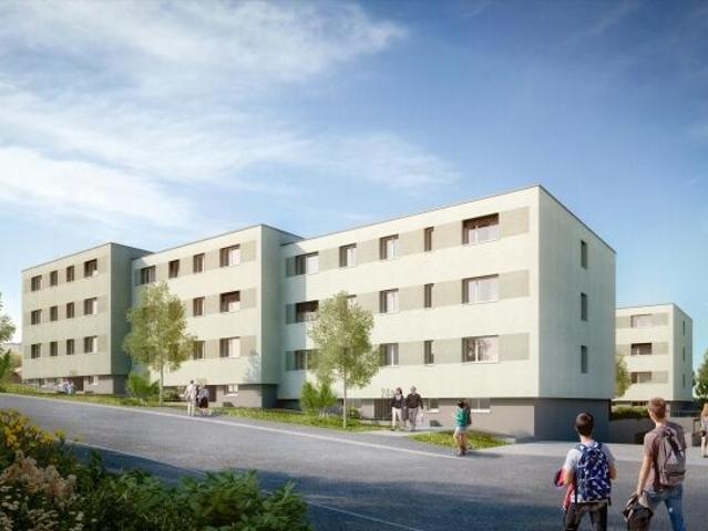 Apartment kaufen