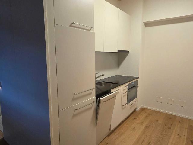 Apartment mieten in Rüti, Stein