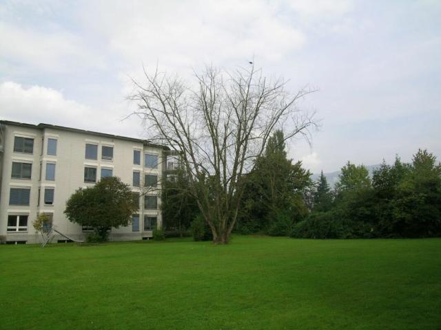 Apartment kaufen in Zuchwil, Solothurn
