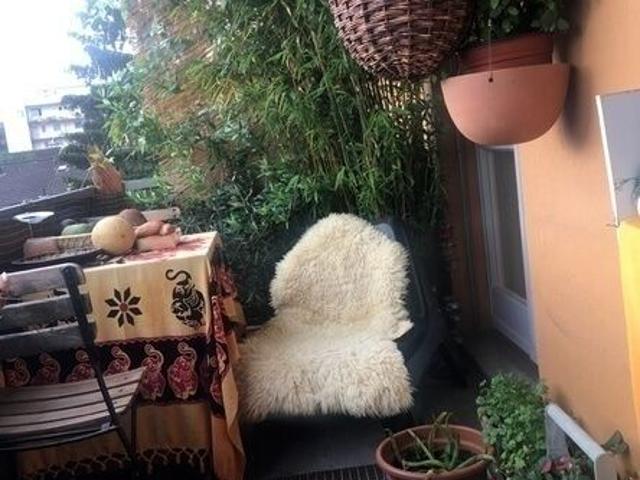 Apartment kaufen