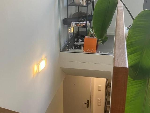 Apartment kaufen