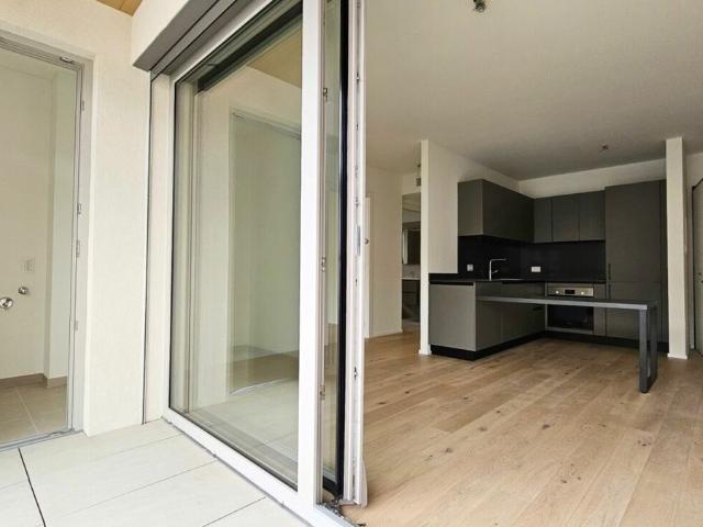Apartment kaufen in Pedrinate, Chiasso