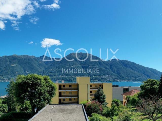 Apartment kaufen in Muralto, Tessin