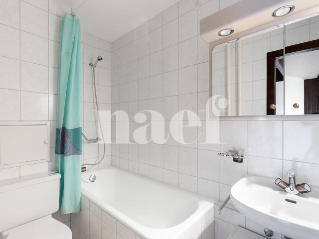 Apartment kaufen in Torgon, Vionnaz