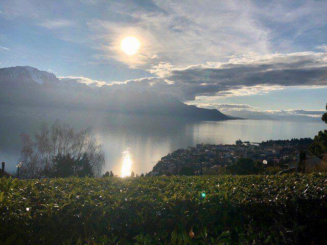 Apartment kaufen in Chailly-Montreux, Waadt