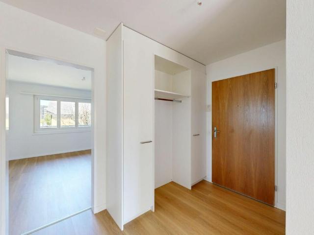 Apartment kaufen in Berikon, Aargau