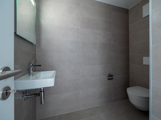 Apartment mieten in L'Arena, Châtel-Saint-Denis