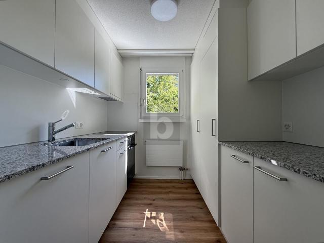 Apartment kaufen in Fahrwangen, Aargau
