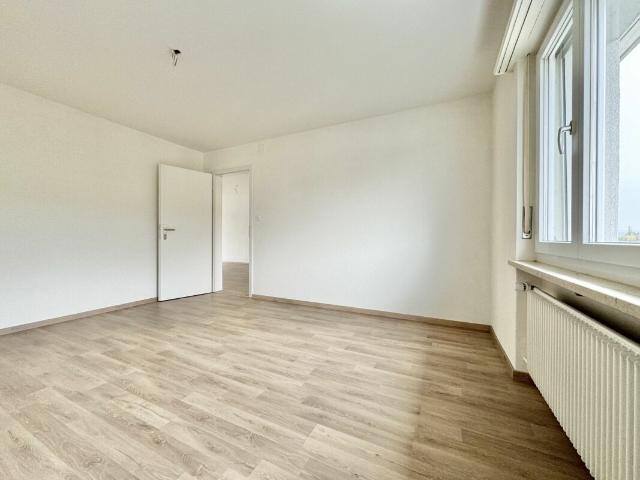 Apartment kaufen in Frick, Aargau