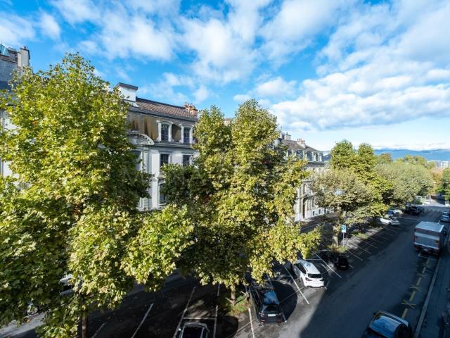Apartment kaufen