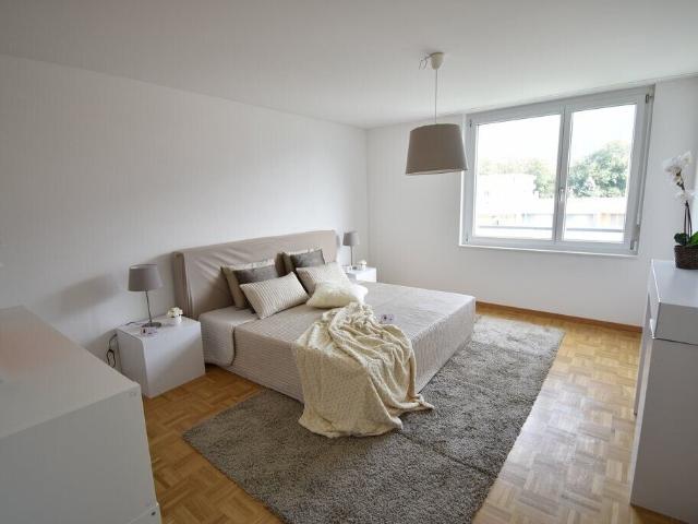 Apartment kaufen in Haag, Rheintal, St. Gallen