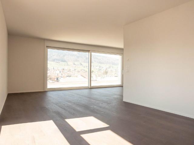 Apartment mieten in Burg AG, Menziken