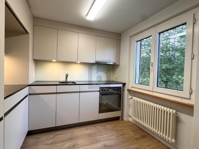 Apartment mieten in Merlischachen, Küssnacht (SZ)