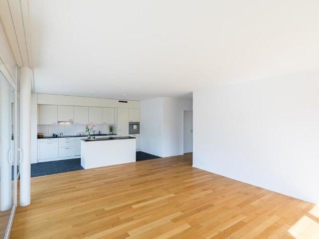 Apartment kaufen in Olten, Solothurn