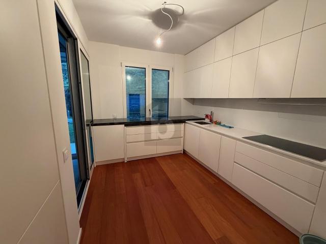 Apartment kaufen in Paradiso, Tessin