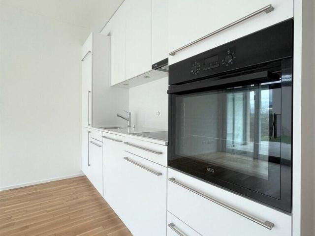 Apartment kaufen in Aldesago, Tessin