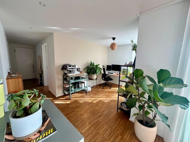 Apartment kaufen