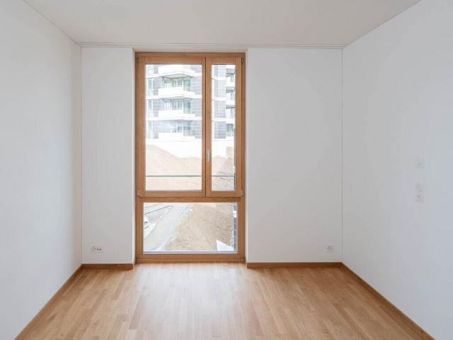 Apartment mieten in Wollishofen, Zürich