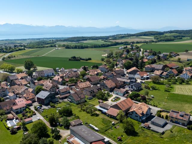 Apartment kaufen