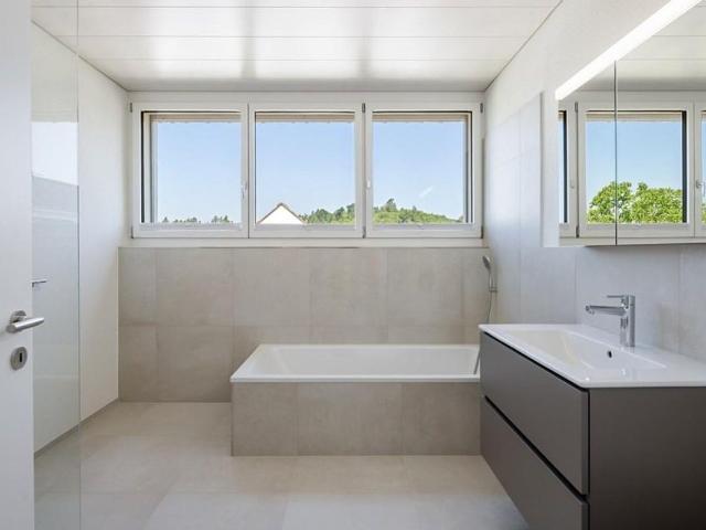 Apartment kaufen in Besenbüren, Aargau