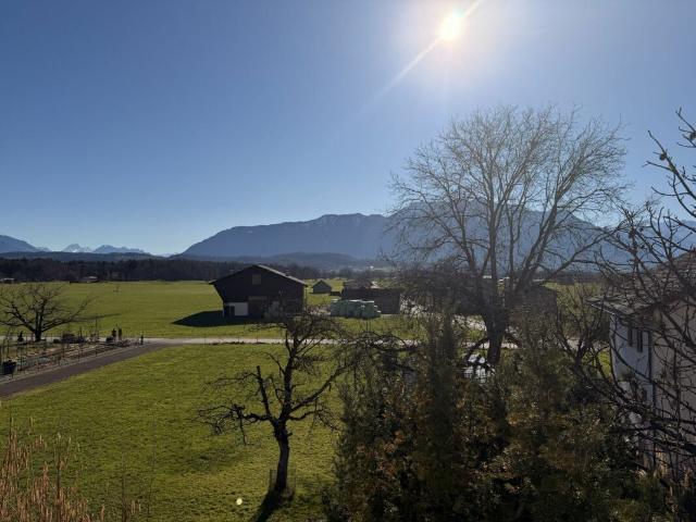 Apartment kaufen in Haag, Rheintal, St. Gallen