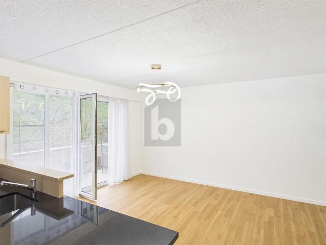 Apartment kaufen in Herisau, Hinterland