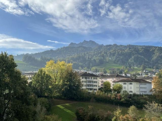 Apartment kaufen in Wichlere, Kriens