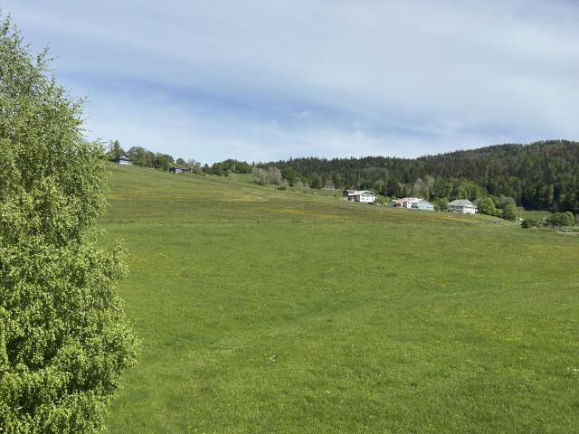 Apartment kaufen in L Abbaye, Waadt
