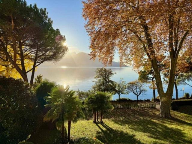 Apartment kaufen in Chailly-Montreux, Waadt