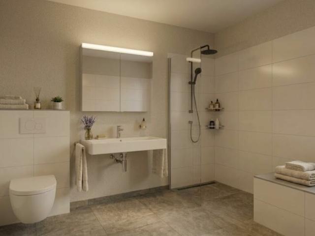 Apartment kaufen in Oberbuchsiten, Amtei Thal-Gäu