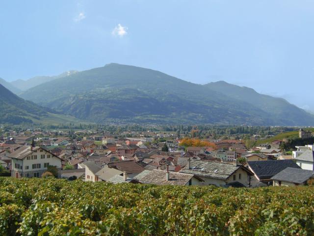 Apartment kaufen in Les Mayens-de-Sion, Wallis