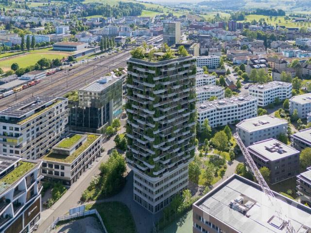 Apartment kaufen in Rotkreuz, Zug