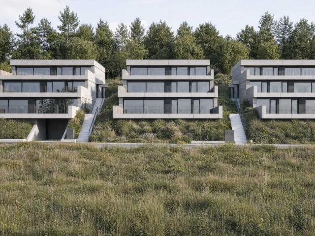 Apartment kaufen in Brestenberg, Seengen