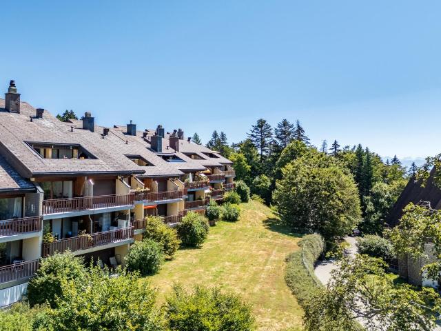 Apartment kaufen