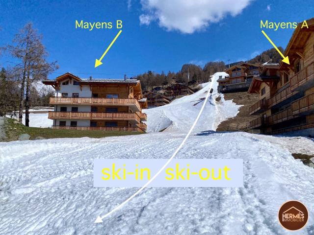 Apartment kaufen in Veysonnaz, Wallis