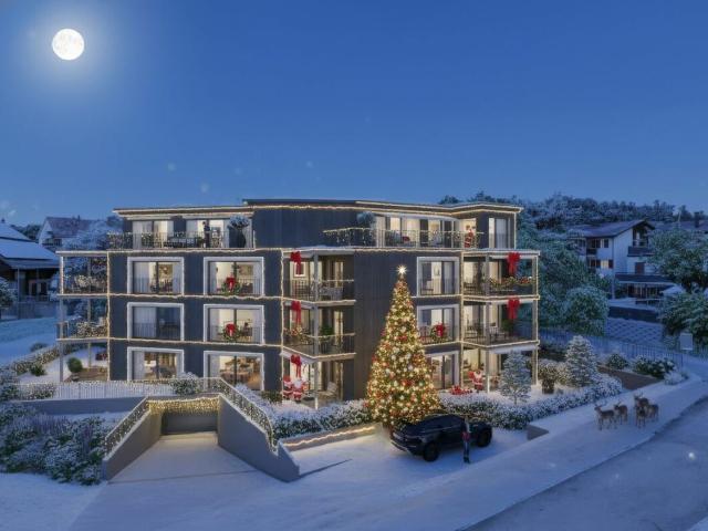 Apartment kaufen in Bubikon, Zürich
