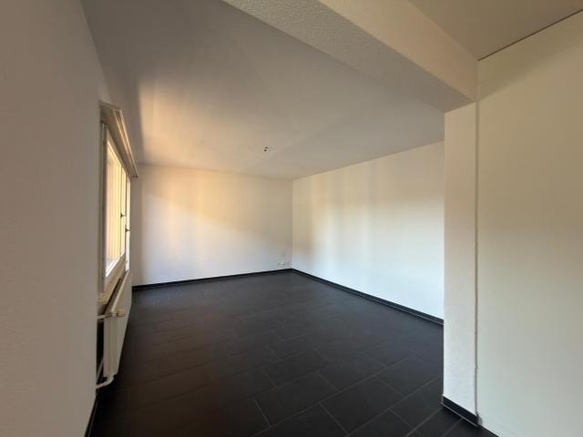 Apartment mieten in Vieille Ville / Altstadt, Biel/Bienne