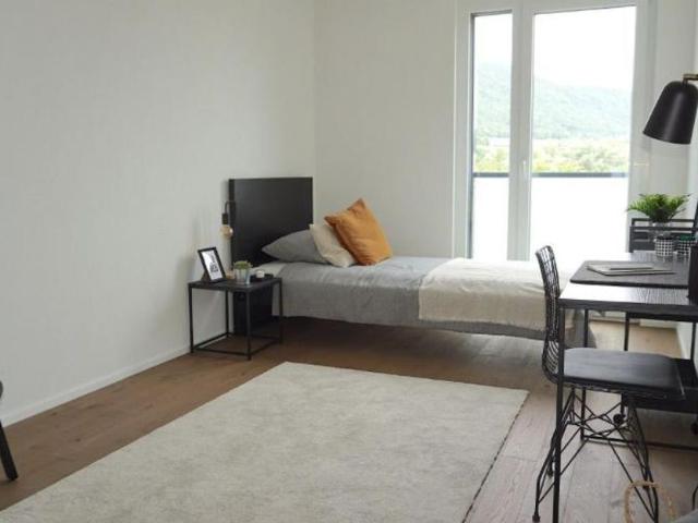 Apartment mieten in Delémont, District de Delémont