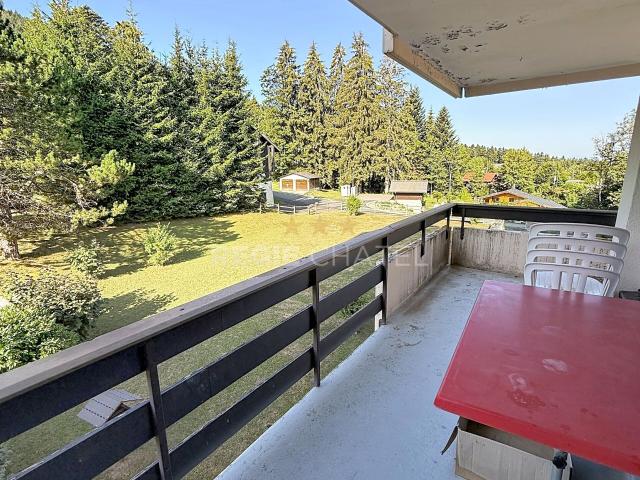 Apartment mieten in Les Paccots, Châtel-Saint-Denis