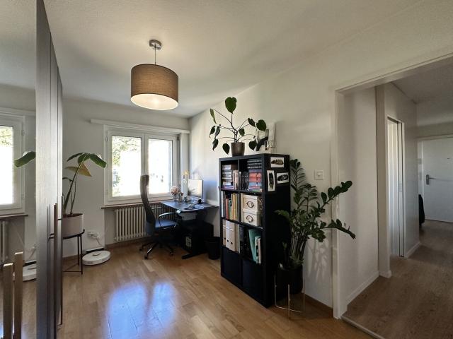 Apartment kaufen