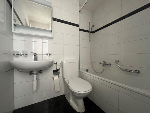 Apartment kaufen in Wohlen (AG), Aargau