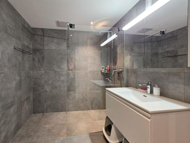 Apartment kaufen in Frutigen, Bern