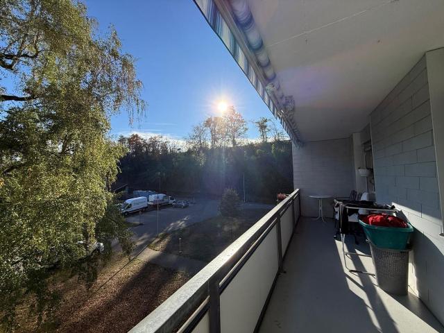 Apartment kaufen