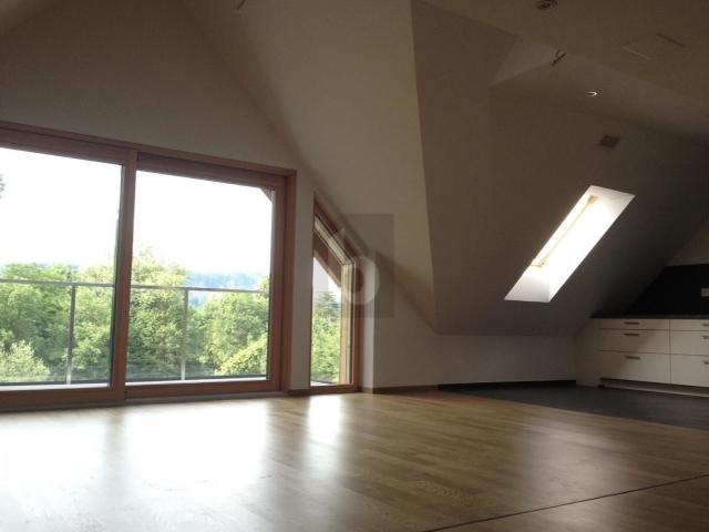 Apartment mieten in Augst, Bezirk Liestal