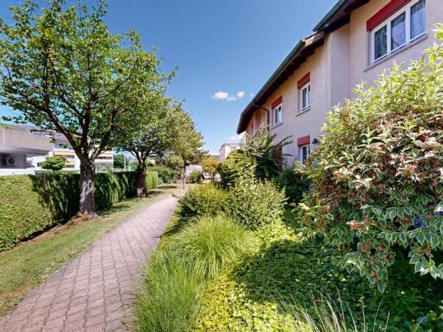 Apartment kaufen in Berikon, Aargau